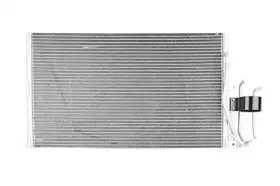 bsg-bsg65525003